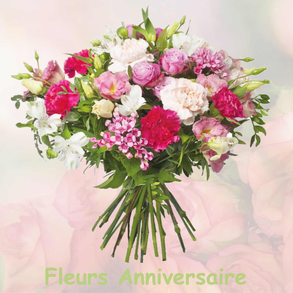 fleurs anniversaire VIC-LE-COMTE